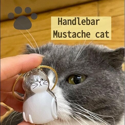 Cat Hair Storage Keychain: Pet Fur Keepsake Collector, Dog Transparent Pendant Memorial Bottle, Cat Lover Collecting Gift (Fat Cat) in Saudi Arabia