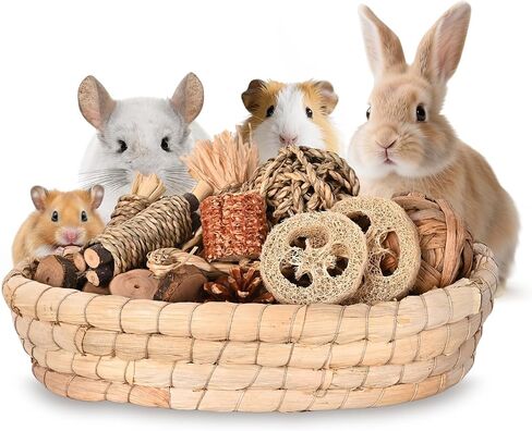 31PCS Rabbit Chew Treat Toys for Teeth Health, Natural Bunny Enrichment Toys for Boredom & Stress Relief, Keep Busy Toys for Guinea Pig Chinchilla Hamster Rat Gerbil Degu Indoor Outdoor in Saudi Arabia