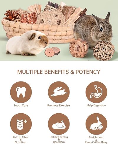 31PCS Rabbit Chew Treat Toys for Teeth Health, Natural Bunny Enrichment Toys for Boredom & Stress Relief, Keep Busy Toys for Guinea Pig Chinchilla Hamster Rat Gerbil Degu Indoor Outdoor in Saudi Arabia