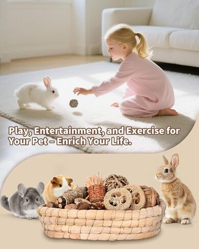 31PCS Rabbit Chew Treat Toys for Teeth Health, Natural Bunny Enrichment Toys for Boredom & Stress Relief, Keep Busy Toys for Guinea Pig Chinchilla Hamster Rat Gerbil Degu Indoor Outdoor in Saudi Arabia