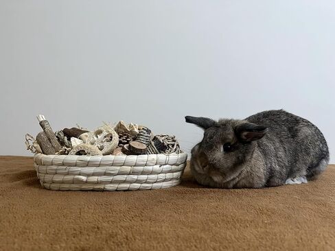 31PCS Rabbit Chew Treat Toys for Teeth Health, Natural Bunny Enrichment Toys for Boredom & Stress Relief, Keep Busy Toys for Guinea Pig Chinchilla Hamster Rat Gerbil Degu Indoor Outdoor in Saudi Arabia