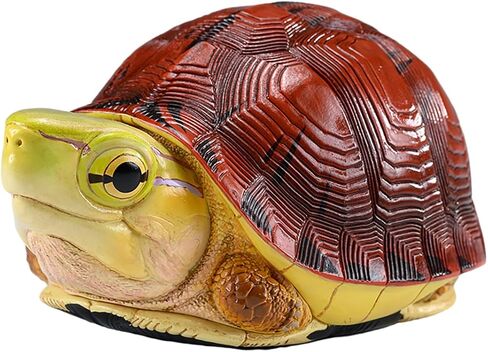 Animal Heavenly Body Series 19 Turtle Chubby Miniature - تمثال Terrapin لديكور المكاتب المنزلية ، النحت الواقعية (Cuora McCordi - McCord’s Box Turtle) in Kuwait