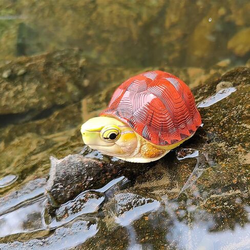 Animal Heavenly Body Series 19 Turtle Chubby Miniature - تمثال Terrapin لديكور المكاتب المنزلية ، النحت الواقعية (Cuora McCordi - McCord’s Box Turtle) in Kuwait