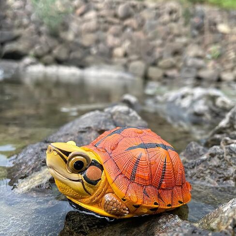 Animal Heavenly Body Series 19 Turtle Chubby Miniature - تمثال Terrapin لديكور المكاتب المنزلية ، النحت الواقعية (Cuora McCordi - McCord’s Box Turtle) in Kuwait