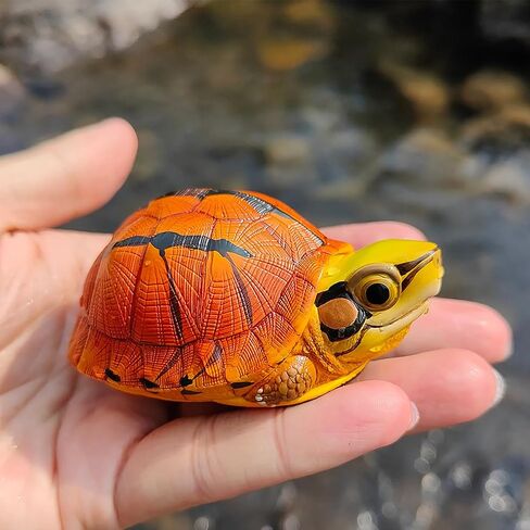 Animal Heavenly Body Series 19 Turtle Chubby Miniature - تمثال Terrapin لديكور المكاتب المنزلية ، النحت الواقعية (Cuora McCordi - McCord’s Box Turtle) in Kuwait