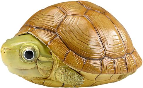 Animal Heavenly Body Series 19 Turtle Chubby Miniature - تمثال Terrapin لديكور المكاتب المنزلية ، النحت الواقعية (Cuora McCordi - McCord’s Box Turtle) in Kuwait