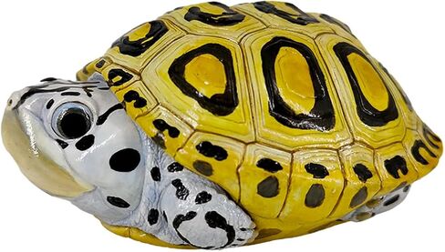 Animal Heavenly Body Series 19 Turtle Chubby Miniature - تمثال Terrapin لديكور المكاتب المنزلية ، النحت الواقعية (Cuora McCordi - McCord’s Box Turtle) in Kuwait