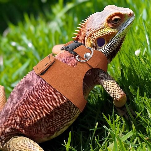 3 Sizes Bearded Dragon Harnesses and Leash Set, Adjustable Soft Leather Lizard Leash Harness Small Animal Walking Vest with Traction Rope for Small Reptiles Squirrel Rat Bearded Dragon Lizard in Kuwait