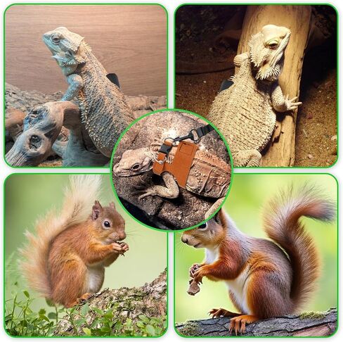 3 Sizes Bearded Dragon Harnesses and Leash Set, Adjustable Soft Leather Lizard Leash Harness Small Animal Walking Vest with Traction Rope for Small Reptiles Squirrel Rat Bearded Dragon Lizard in Kuwait