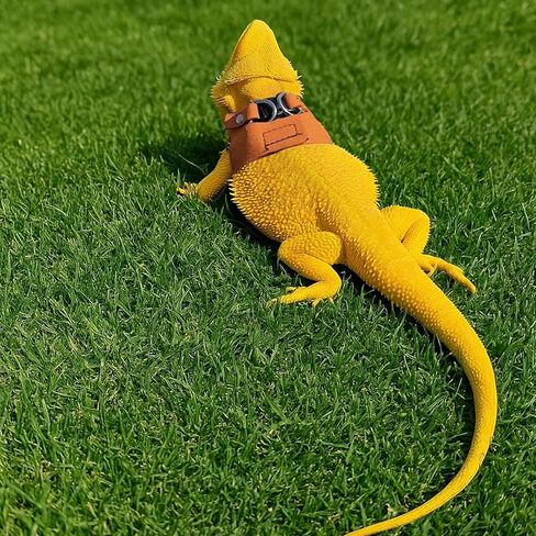 3 Sizes Bearded Dragon Harnesses and Leash Set, Adjustable Soft Leather Lizard Leash Harness Small Animal Walking Vest with Traction Rope for Small Reptiles Squirrel Rat Bearded Dragon Lizard in Kuwait