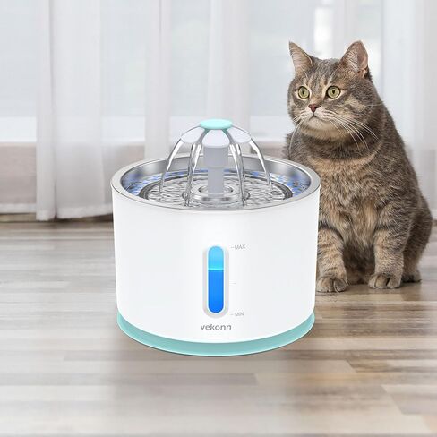 2.4L/84oz Cat Water Fountain Stainless Steel Top, Pet Water Fountain for Small Dog and Cat with LED Light and Water Level Window (Green) in Kuwait