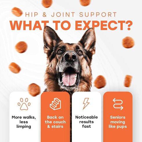 Glucosamine for Dogs 500mg - دعم الورك والمفصل مع الكولاجين ، شوندروتن والكركم - الدكتوراه المعادلة - ملحق التنقل للكلاب - 140 مضغ - نكهة لحم البقر - مصنوعة في الولايات المتحدة الأمريكية in Saudi Arabia