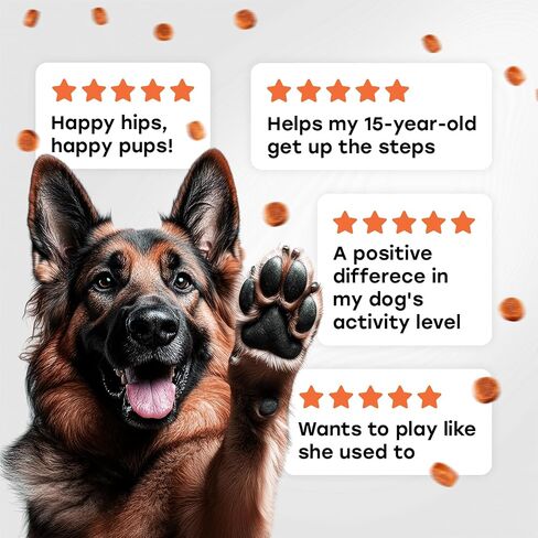 Glucosamine for Dogs 500mg - دعم الورك والمفصل مع الكولاجين ، شوندروتن والكركم - الدكتوراه المعادلة - ملحق التنقل للكلاب - 140 مضغ - نكهة لحم البقر - مصنوعة في الولايات المتحدة الأمريكية in Saudi Arabia