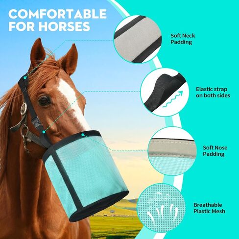 Horse Feed Bag 2 Pcs, Mesh Feed Bags for Horses, Muzzle Feedbag for Feeding Grain, Anti-Spill Design Feeder, Soft Neck Pad Nose Pad, Universal Fit (Mint, Pack of 2) in Kuwait