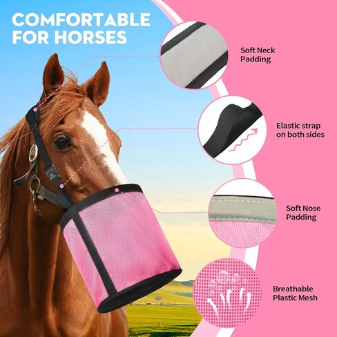 Horse Feed Bag 2 Pcs, Mesh Feed Bags for Horses, Muzzle Feedbag for Feeding Grain, Anti-Spill Design Feeder, Soft Neck Pad Nose Pad, Universal Fit (Mint, Pack of 2) in Kuwait