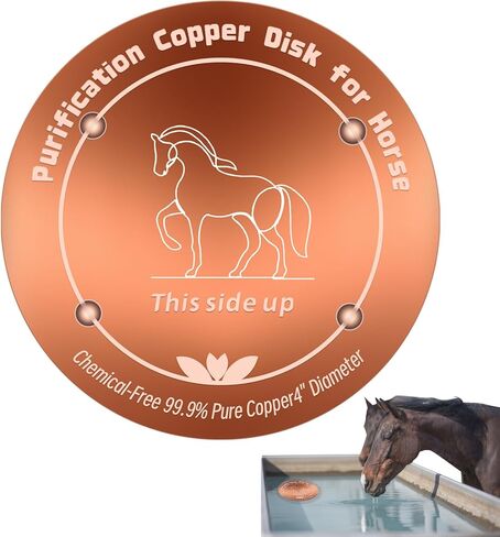 Copper Disk for Horse Drinking Waterer Bowl|4-inch Diameter,0.6mm Thick|99.99% Pure Copper Disc|Automatic Horse Waterer Feeder Purification Disk with 4 Point Support|Purify Water All Year Round in Saudi Arabia