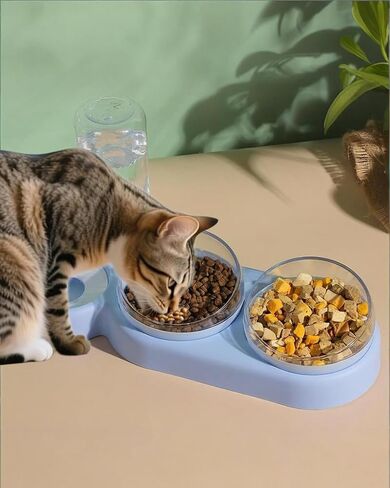 Cat Bowls Set，3 in 1 15°Tilt Water Feeder Bowls Cat Double Food Bowls with 500ml Dispensing Bottle for Small & Medium Pets,Lightweight & Easy to Clean in Saudi Arabia