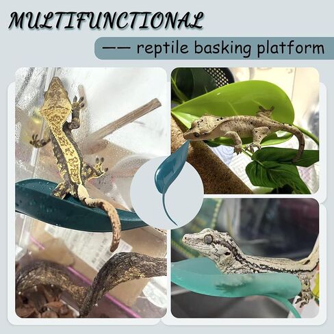 منصة تشمس السلحفاة ، 3pcs إكسسوارات دبابات الأشجار ، منصة تشكيل تنين على شكل أوراق مع أكواب شفط ، إكسسوارات دبابات النمر ، ديكور خزان السلحفاة (أخضر) in Kuwait