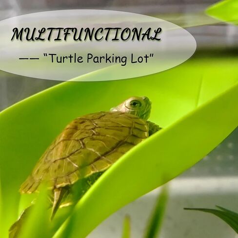 منصة تشمس السلحفاة ، 3pcs إكسسوارات دبابات الأشجار ، منصة تشكيل تنين على شكل أوراق مع أكواب شفط ، إكسسوارات دبابات النمر ، ديكور خزان السلحفاة (أخضر) in Kuwait