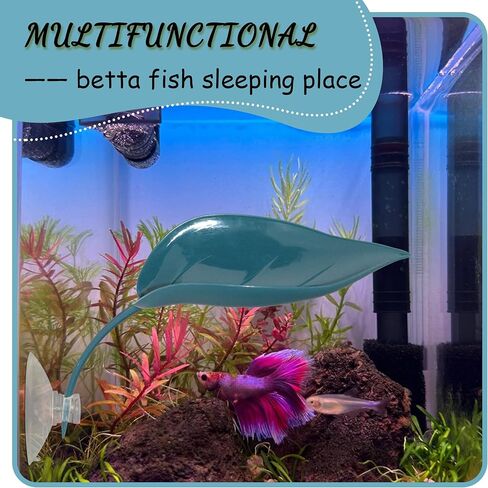 منصة تشمس السلحفاة ، 3pcs إكسسوارات دبابات الأشجار ، منصة تشكيل تنين على شكل أوراق مع أكواب شفط ، إكسسوارات دبابات النمر ، ديكور خزان السلحفاة (أخضر) in Kuwait