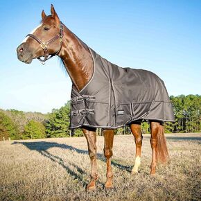 Jeffers Poplar Head Defense 1680 Denier Turnout Blanket with Extended Neck Design, Plymouth Brown 75"- 240g Polyfill, Waterproof, Breathable Horse Blanket, Ideal Protection for Winter, Medium Weight in Saudi Arabia