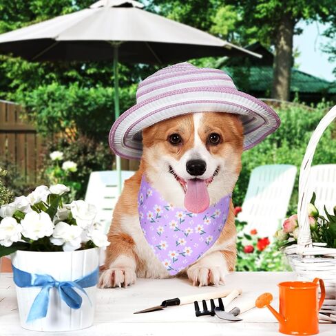 40 جهاز كمبيوتر شخصى الصيف الربيع زهرة هاواي الكلب عصابات السائبة مثلث عكسها الكلب المرايل قابل للتعديل الحيوانات الأليفة منديل وشاح قابل للغسل القط وشاح لعطلة الصيف الحيوانات الأليفة (L) in Kuwait