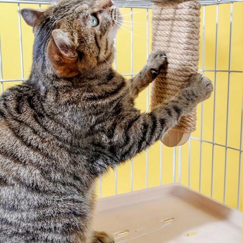 Cat Climbing Steps Scratching Tree - 2pcs Scratching Steps Sisal Hemp Cage Shelf Ladder Pets Perch Furniture Inside The cage with Install Screws (M) in Kuwait