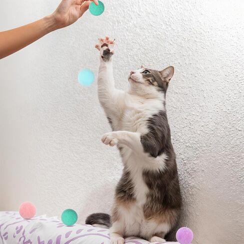 50 PCS Cat Toy Balls 1.2 بوصة CAT CAT POM POM BALLS Soft Enteractive Hitten Ball Cats Exercise Toys Fuzzy Hitten Interactive لعب لعبة هادئة للقطط الحيوانات الأليفة in Kuwait