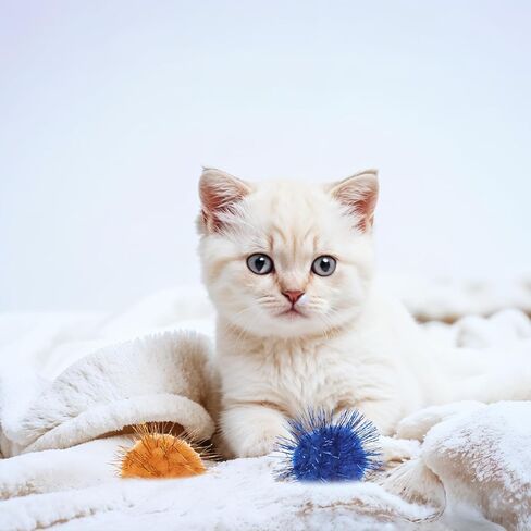 40 PCS POM BLES POM POMPOM CALLS COLLOW COLLS FOR CATS Sparkle Ball for Cats Interactive Cat Toy Ster for Exercice and Entertainment in Kuwait