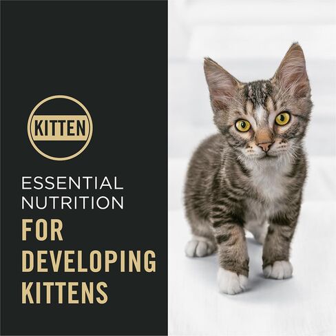 Purina Pro Plan Kitten Dry Food Complete Essentials Shredded Blend Chicken and Rice Formula - 3.2 lb. Bag in Saudi Arabia