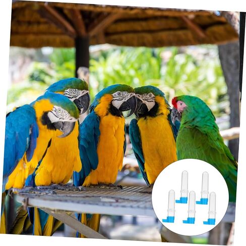 Happyyami 5pcs Bird Automatic Tharbrink Fountain Plastic Parrot Parrot Water Leader Beeder مع قاعدة زرقاء لإكسسوارات القفص سهلة التثبيت وموزعات المياه للحيوانات الأليفة للببغاء Cockatiel Conure in Saudi Arabia