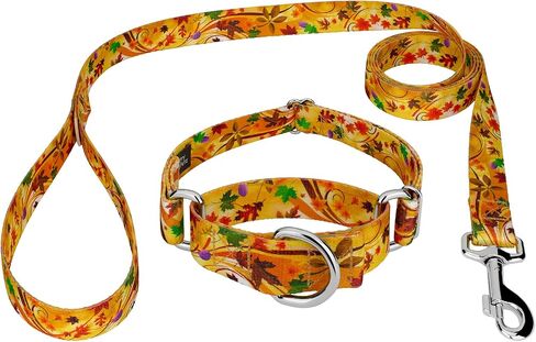 Country Brook Petz - Autumn Autumn Martingale Dog Collar and Leash Set - مجموعة رائعة من الخريف التي تتميز بتصميمات ستسقطها (1 بوصة ، متوسطة) in Saudi Arabia