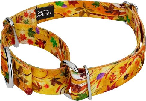 Country Brook Petz - Autumn Autumn Martingale Dog Collar and Leash Set - مجموعة رائعة من الخريف التي تتميز بتصميمات ستسقطها (1 بوصة ، متوسطة) in Saudi Arabia