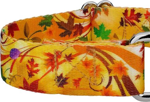 Country Brook Petz - Autumn Autumn Martingale Dog Collar and Leash Set - مجموعة رائعة من الخريف التي تتميز بتصميمات ستسقطها (1 بوصة ، متوسطة) in Saudi Arabia