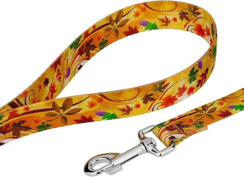 Country Brook Petz - Autumn Autumn Martingale Dog Collar and Leash Set - مجموعة رائعة من الخريف التي تتميز بتصميمات ستسقطها (1 بوصة ، متوسطة) in Saudi Arabia