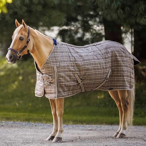 Country Pride Highland 1200D Midweight Stable Blanket (78, Black Plaid) in Saudi Arabia
