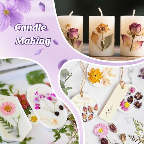 20 كيسًا أدوات الزهور المجففة ، وأعشاب الزهور المجففة الطبيعية لشمعة DIY ، والصابون ، والراتنج ، والتصنيع ، والكعك ، وتزيين الآيس كريم - تشمل بتلات الورد ، ليليوم ، ياسمين ، لافندر ، ولا تنسى المزيد in Saudi Arabia