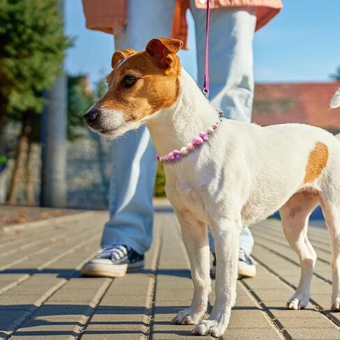 Jogia® Pink Princess Cholecs Cog Collar - طوق Martingale المصنوع يدويًا للكلاب الصغيرة والمتوسطة والكبيرة ، التصميم الأرجواني اللافندر ، إكسسوارات كلب فتاة لطيف in Kuwait
