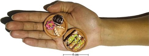 Miniature Mexican Fiesta Clay تتظاهر بالفنون الغذائية يوم العروض الميتة Di de los Muertos ofrendas Cinco de Mayo (5 قطع - عشوائي) ، متعدد الألوان (minjd14) in Kuwait