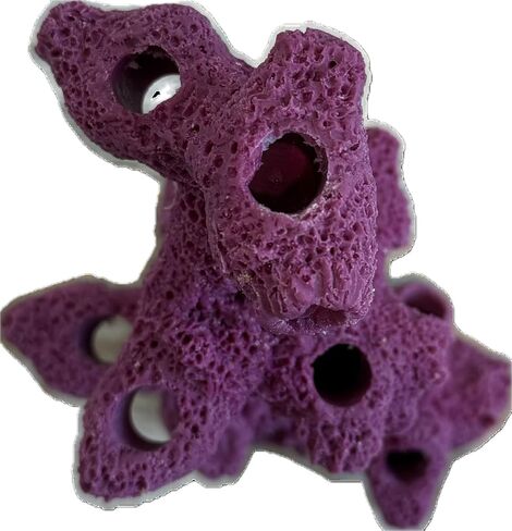 10 Hole Torch Tower Coral Frag Plug Rack/Frag Rock for Live Coral Plug Ons for Reef Aquariums Purple Coralline Option (Coralline Purple) in Kuwait