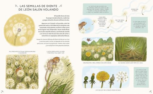Con calma, aquí y ahora: Más historias de la naturaleza (Spanish Edition) in Saudi Arabia