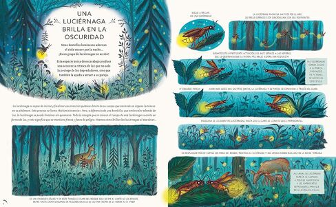 Con calma, aquí y ahora: Más historias de la naturaleza (Spanish Edition) in Saudi Arabia