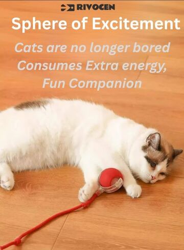 Indoor Cat Interactive Toy 360-degree Automatic Rolling Toy with Floor Flashing and Random Rolling for Cats and Dogs. Continuous Excitement, Fun and Stimulation for Your Cats and Dogs-(Red) in Saudi Arabia