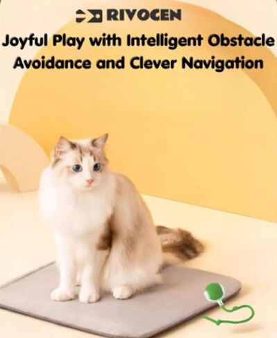 Indoor Cat Interactive Toy 360-degree Automatic Rolling Toy with Floor Flashing and Random Rolling for Cats and Dogs. Continuous Excitement, Fun and Stimulation for Your Cats and Dogs-(Red) in Saudi Arabia
