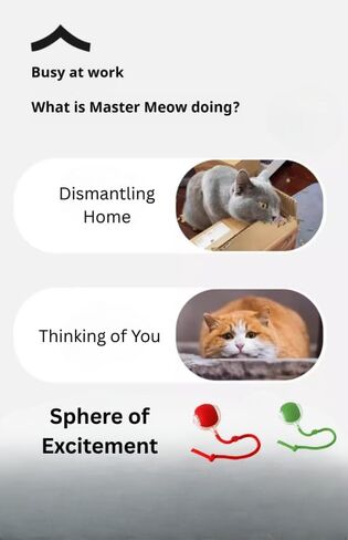 Indoor Cat Interactive Toy 360-degree Automatic Rolling Toy with Floor Flashing and Random Rolling for Cats and Dogs. Continuous Excitement, Fun and Stimulation for Your Cats and Dogs-(Red) in Saudi Arabia