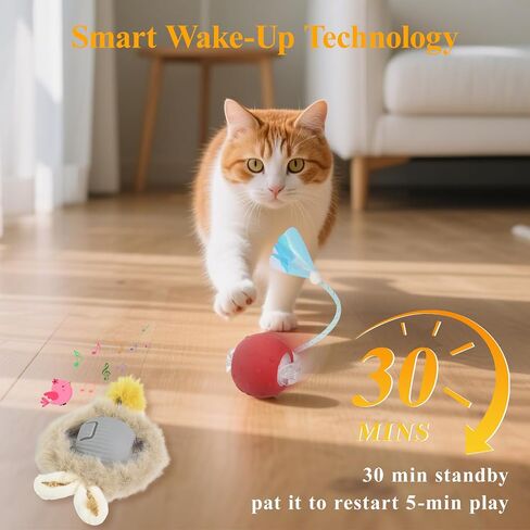 Interactive Cat Toys for Indoor Automatic Cat Balls Hide and Seek in Pouch, with 2 Balls 3 Tails Play Mat, 5 Ways Playing Enrichment Toys in Saudi Arabia