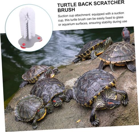 GANAZONO Turtle Back Brush Suction Cup Shell Cleaning Brush for Aquatic Animals in Saudi Arabia