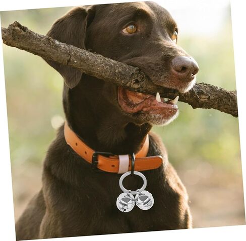 BESPORTBLE DIY Pet Collar Bell Charm Durable Key Chain Bell for Cats and Dogs Loud Sound Cat Accessories for Daily Wear Parties and Photo Shoots in Saudi Arabia