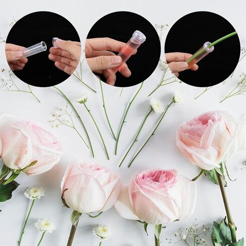 300 Pack Flower Water Tubes 3 Inch Reusable Plastic Vials for Flower Arrangements Floral Tubes with Cover Fresh Florist Supplies for Decoration Arrangement Preserving(Clear) in Kuwait