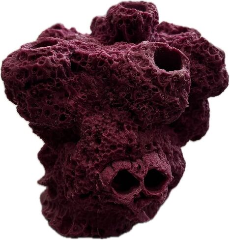 7 Hole Barnacle Cave Frag Rock Rockbed Base for Live Coral Frag Slows for Reef Aquariums (Coralline Purple) in Kuwait